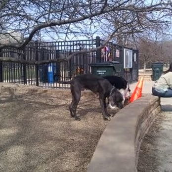 Pup Town Dog Park photo 2